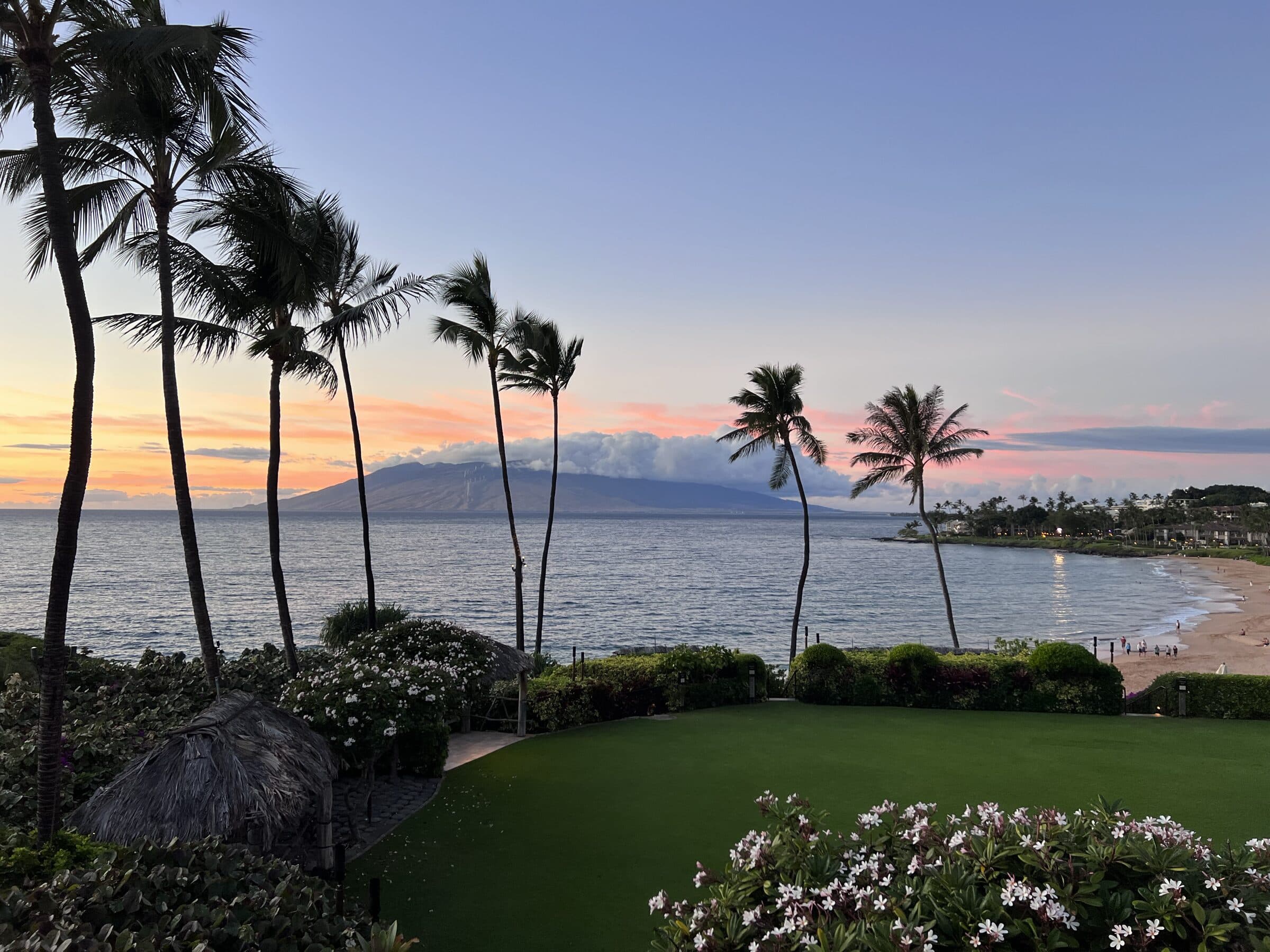 Sunset over the water: palms in silhouette above a lawn, the beach curving away to the right, and the mountains across the bay under a pink sky